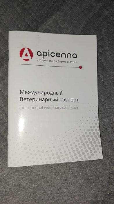 Продам щенка Дратхаара кобеля