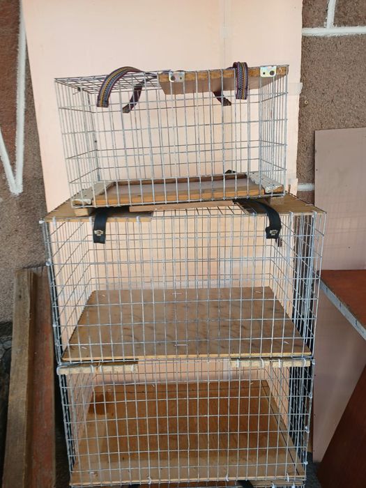 Сетки для птицы.