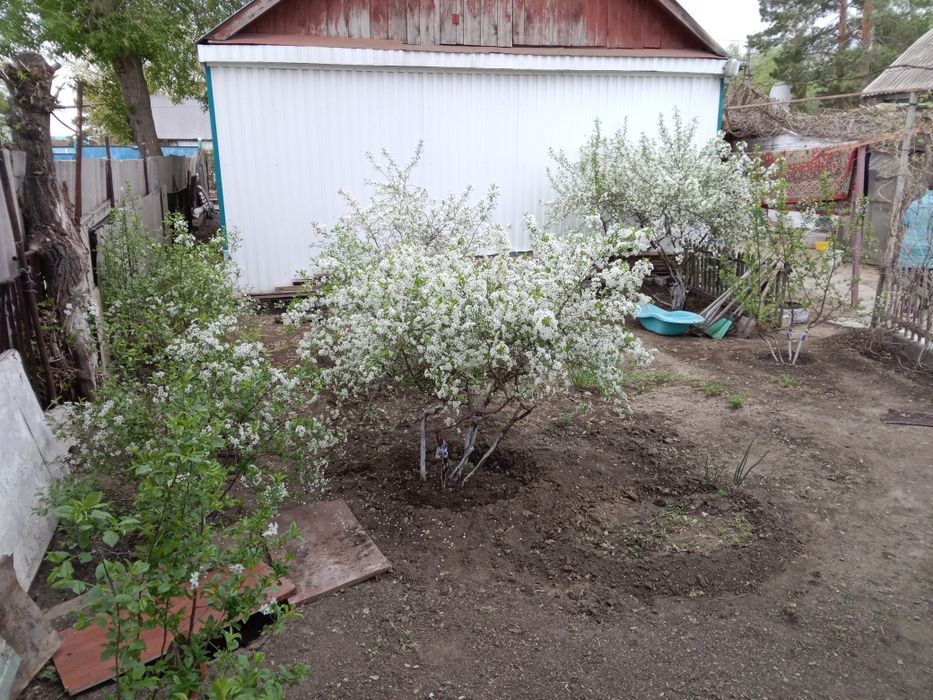 Продам дом 5 комнат 87 КВ м