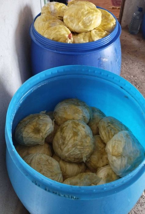 Varză murată de vanzare