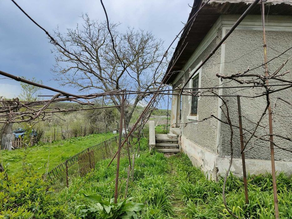 Casă cu livadă, viță de vie și teren arabil Mogoșești Olt