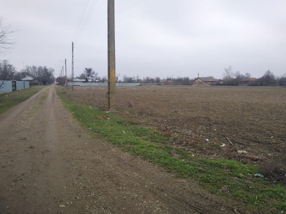 Vand teren Intravilan  Oancea ( Romanu)