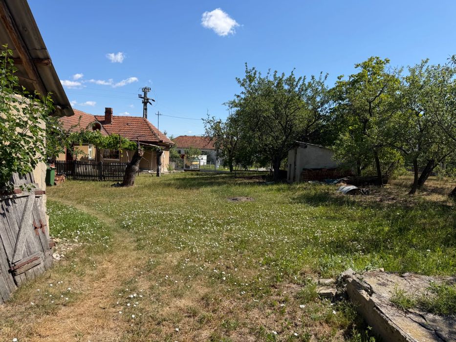 Casă de vânzare cu teren de 5.000 mp – oportunitate excelentă!