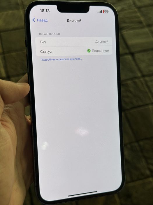 iPhone 13 Pro Max