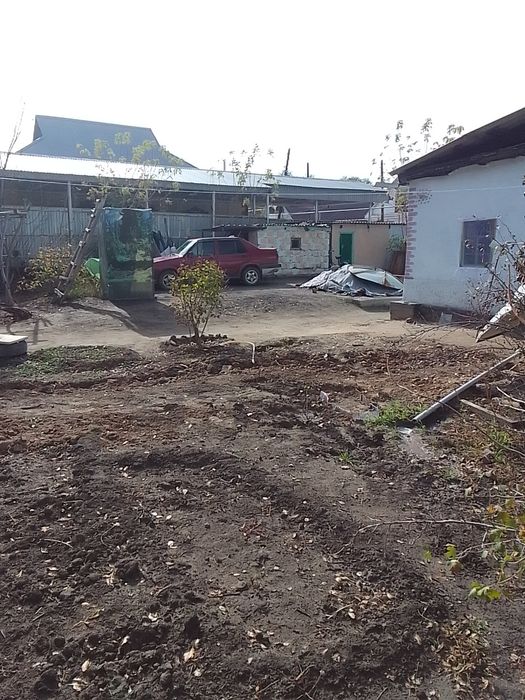 IPhoni  11 C гарантия