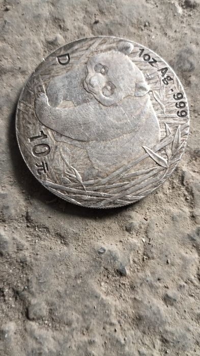 Манети медвижоник