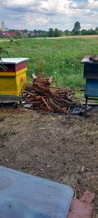 Vand rame pentru faguri