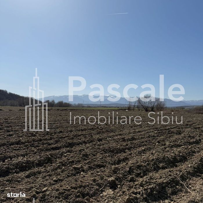 Oportunitate de investiție–Teren agricol in Bungard, lângă râul Cibin!