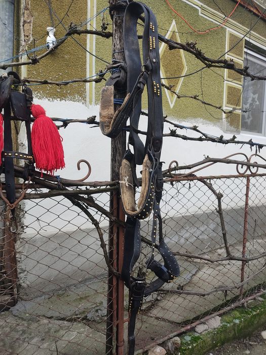 Vand sau schimb ham ponei