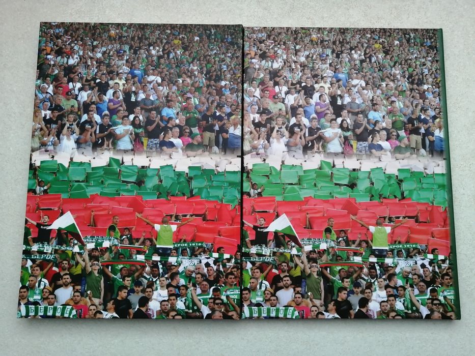 Книга за ФК Берое