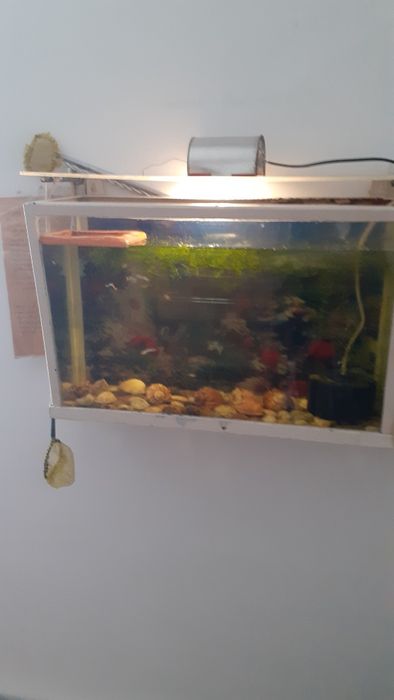 Продам Аквариум для рыбок