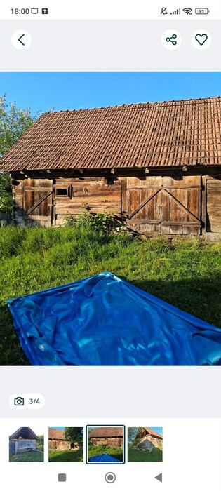 Vând sura de sterjar