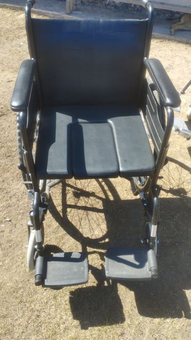 1-й домашний, 2-й прогулочный