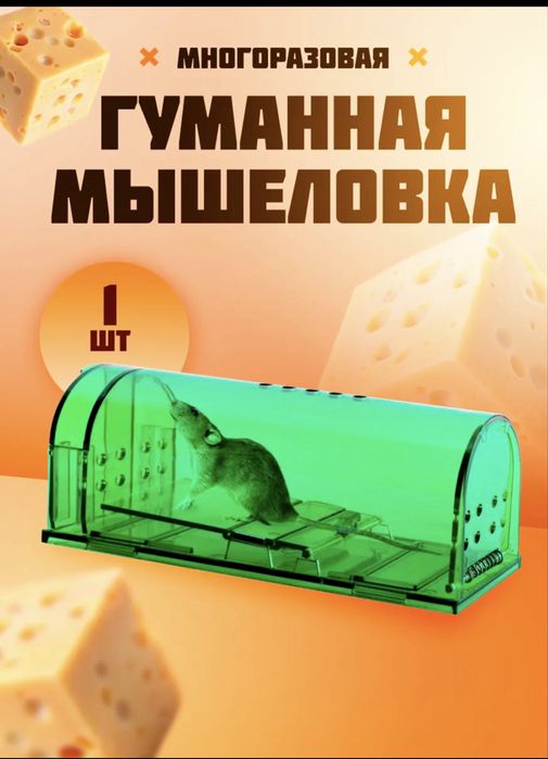 Гуманые мышеловки