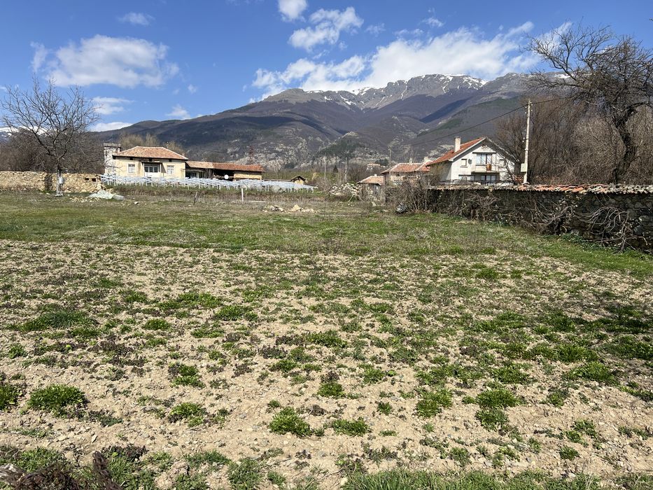 Голям, слъвчев парцел.