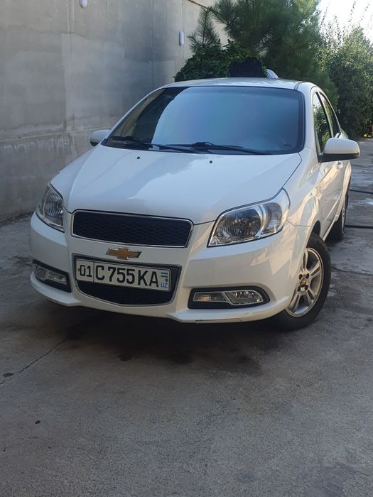 Nexia 3 rangi oq