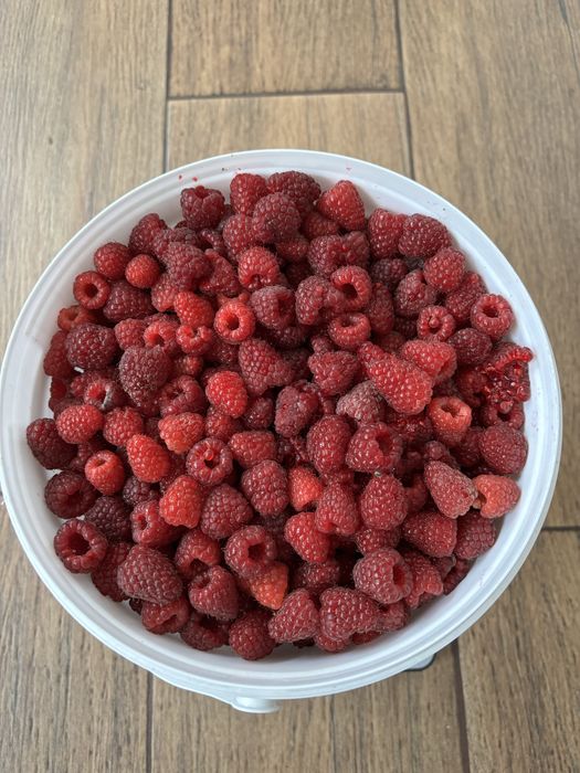 Zmeură de vânzare