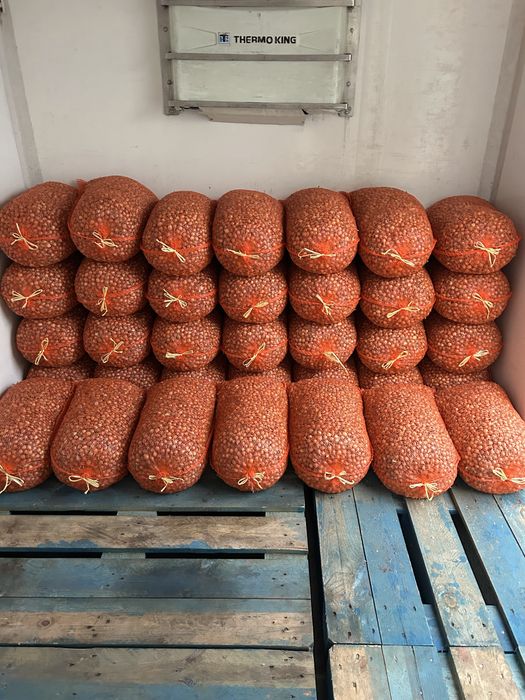 Vand arpagic Romanesc