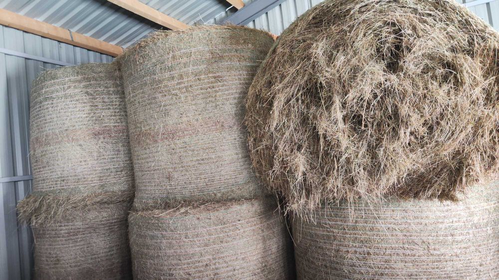 Baloti rotuzi de fan