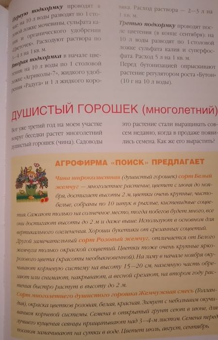 Цветы на вашем участке