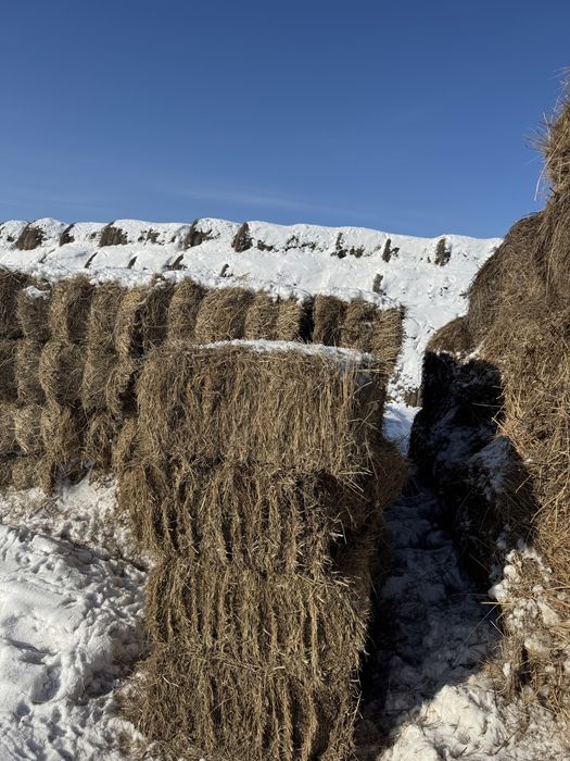 Продсм Сено в тюках