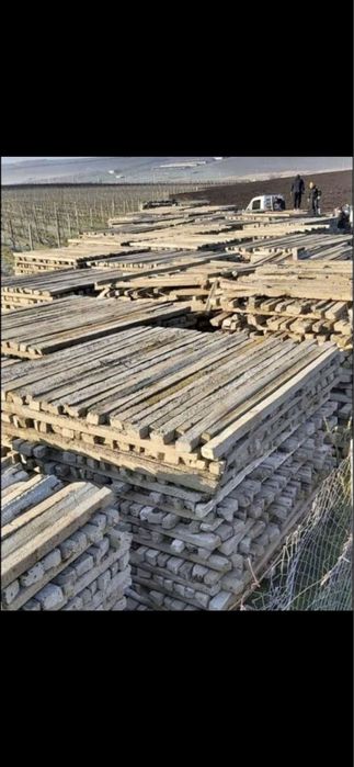 Spalieri din beton pentru vie si gard