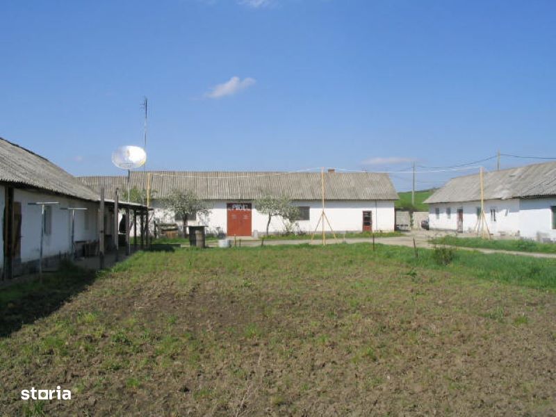 Teren intravilan de vânzare în Pâncota – 3.175 mp cu hale + 2.983 mp