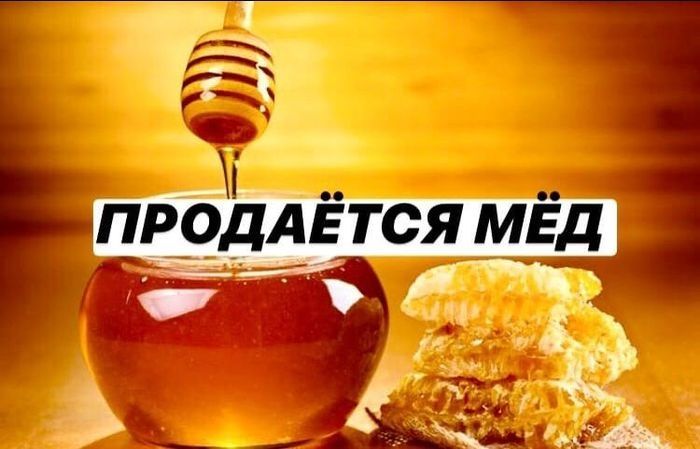 Продам МЁД оптом