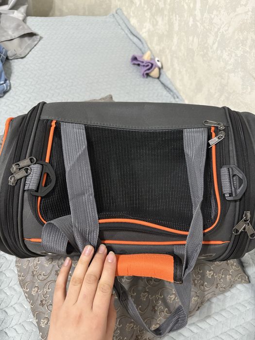 Мысыққа переноска