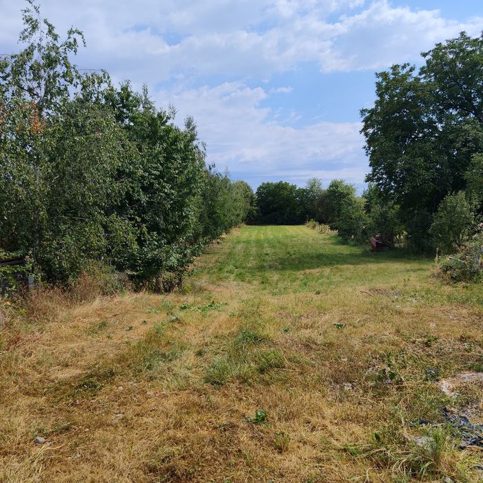 Teren de vânzare
