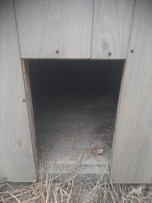 Домик для собаки