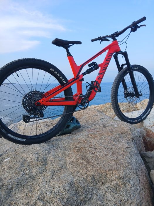 Canyon spectral 5.0