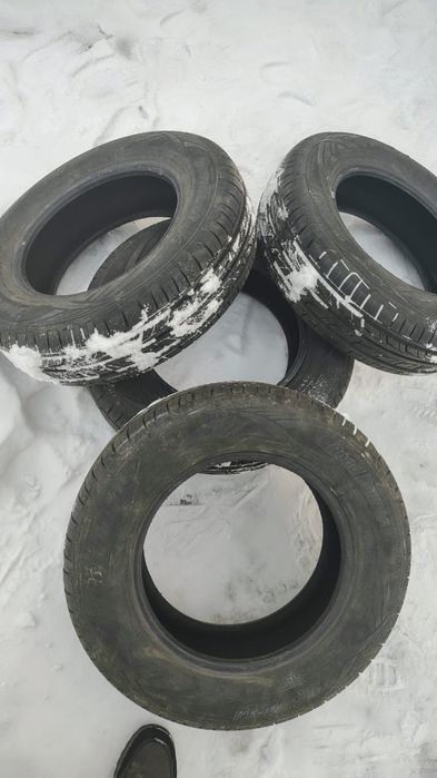 Продам шины Кардиант 185/70 R14