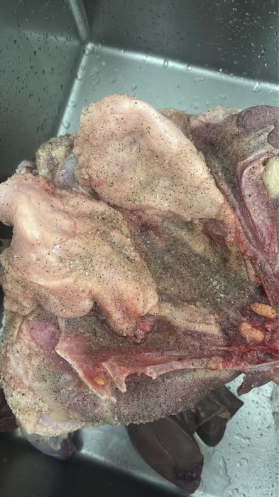 Продаётся домашний гусь, выращенный в домашних условиях.