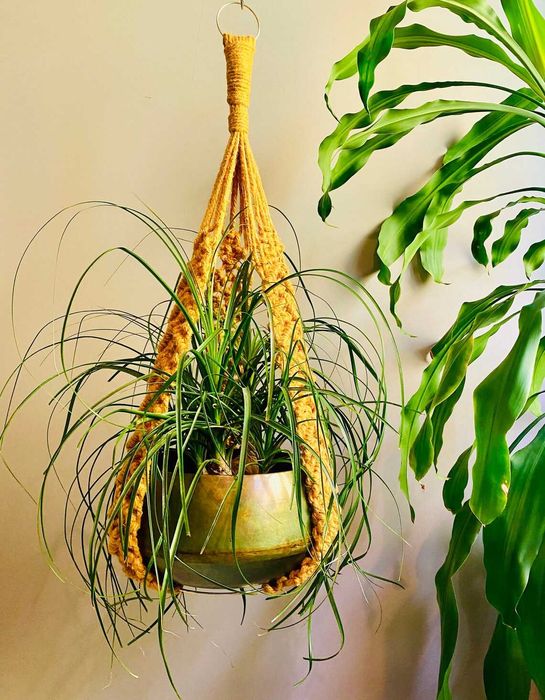 Висящи единични и двойни цветарници