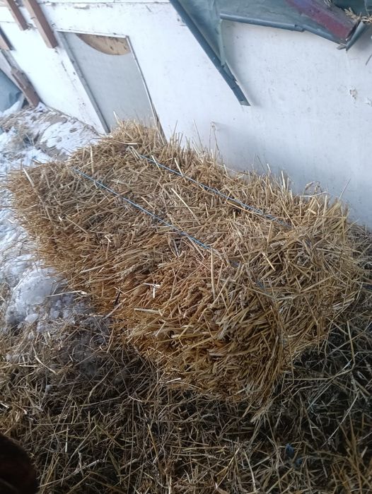 De vânzare baloți mici de paie de grâu