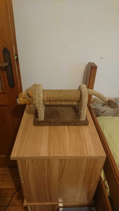Ansamblu pentru pisici