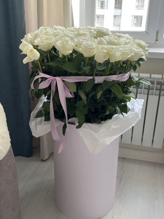 51 белая роза — более 1 метра
