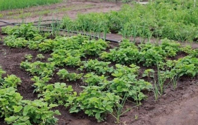 Продам дачу в районе речпорта