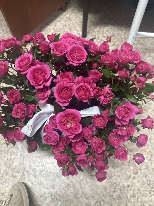 бүгін келді 25-30 келисемызз