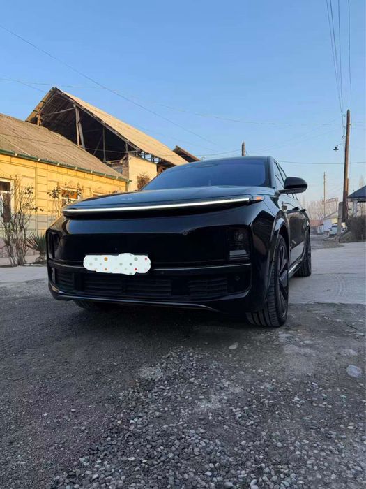 Li 9 не битая без краски