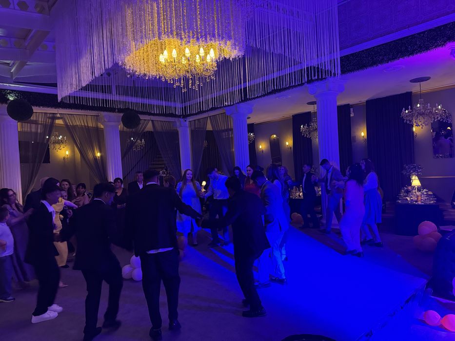 Vibes Events by Dj Burly- Botez•Cununie•Majorat