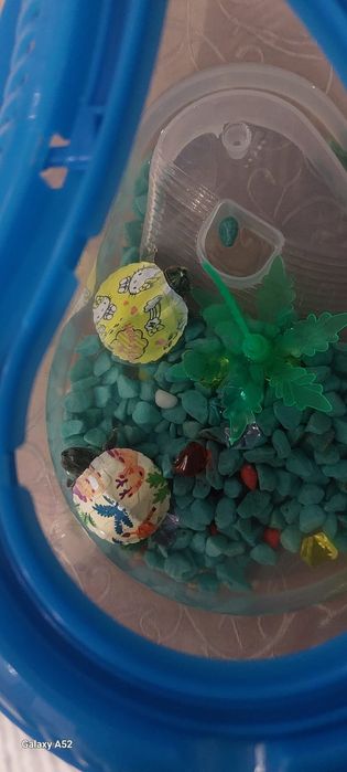 Продам черепашку