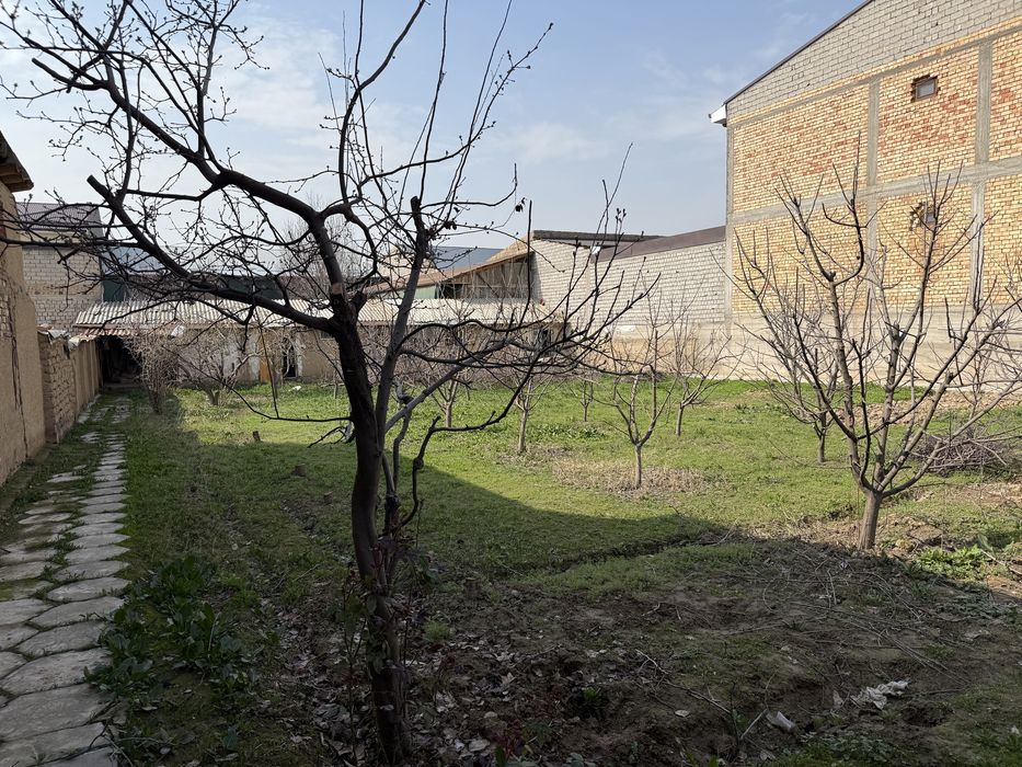 Abdurahmonov’da yer sotiladi