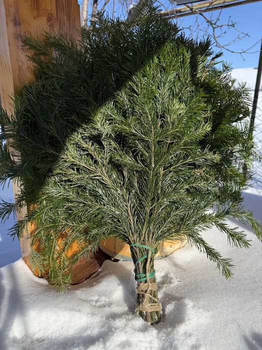 Веники для бани Уральск