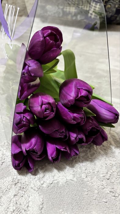 Тюльпаны 15 штук фиолетовые