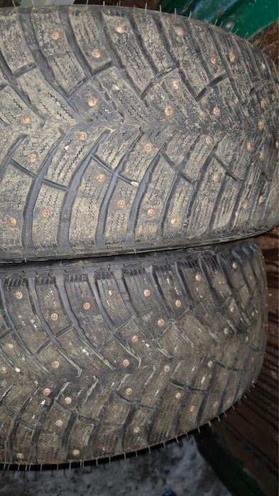 Шипы в отличном состояни