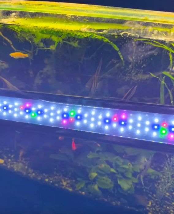 Специализирани аквариумни лампи и корени от азалия