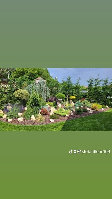 Gazon rulou vând și montez