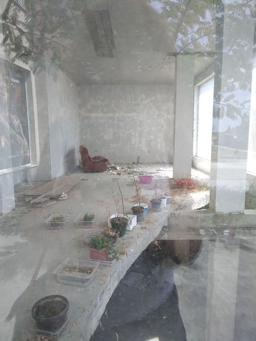 Продава се Заведение в Плевен, Дружба 1 - 223 кв.м за 427 €/кв.м - Снимка #5